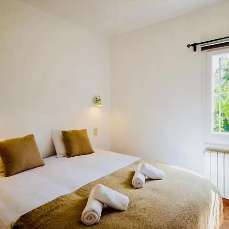 Mas Nou Costabravasi *