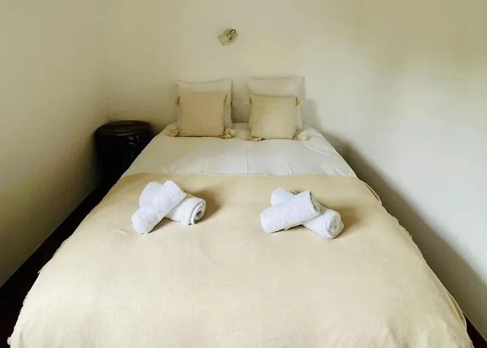 Mas Nou Costabravasi